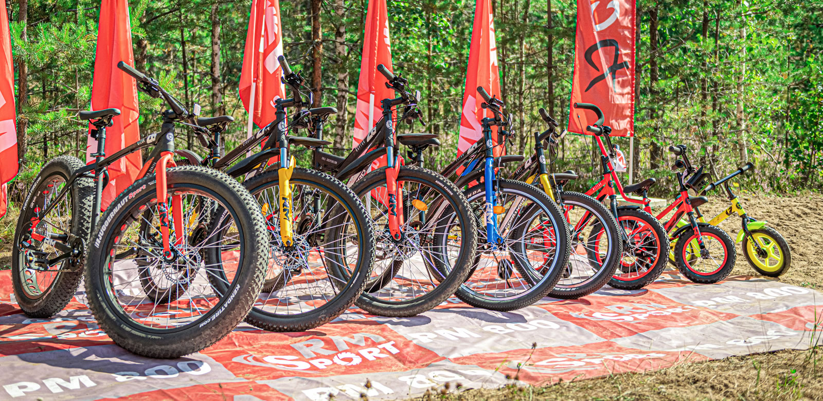 ООО «РМдеталь» — велосипеды «RM Forward»